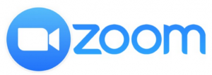 Zoom Logo